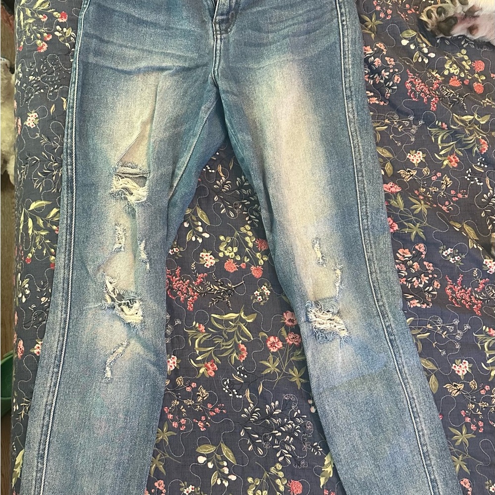 Bridge by Gly Curvy High Rise Skinny Jeans (Ankle Cut) Size 25 Waist